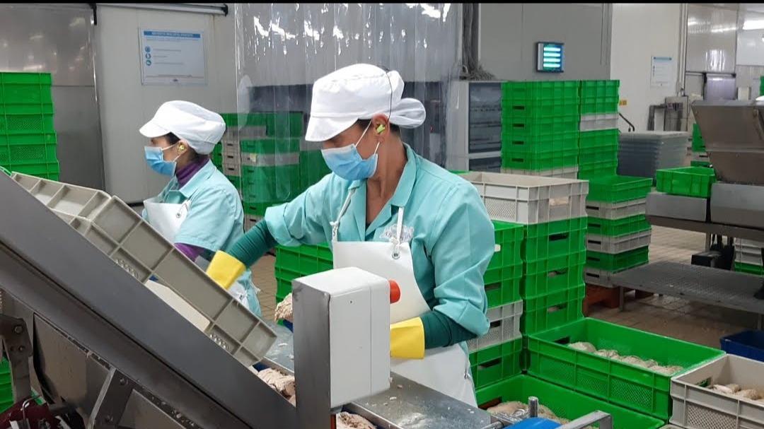 Crisi Russia-Ucraina, rischi per l'export e il turismo in Sardegna