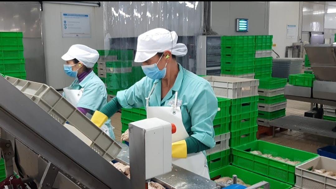 Crisi Russia-Ucraina, rischi per l'export e il turismo in Sardegna