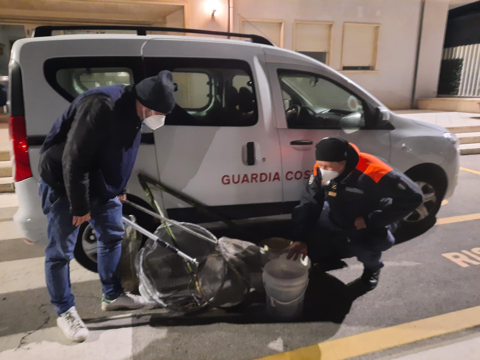 Viareggio, pescatori di frodo scoperti in porto: abbandonano le cèe in banchina 