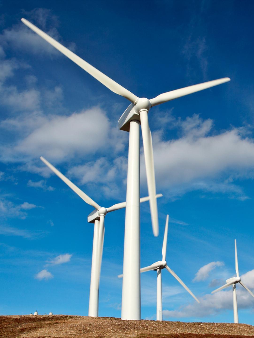 Applausi e critiche dagli ambientalisti 