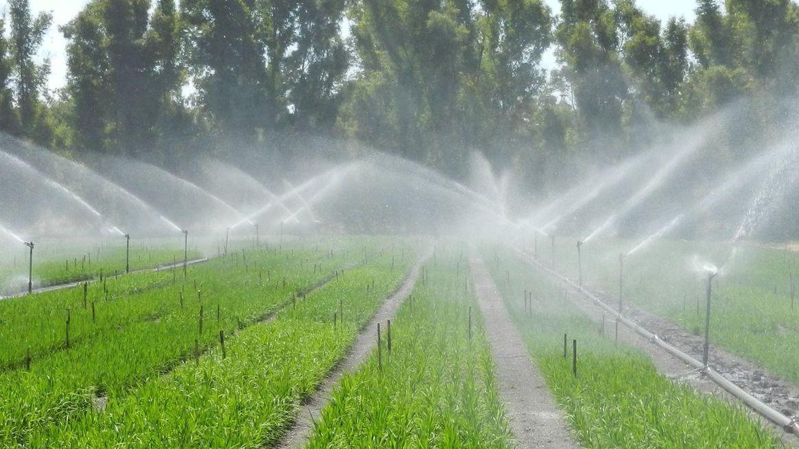 Consorzio e Regione lo scontro si sposta al Tar