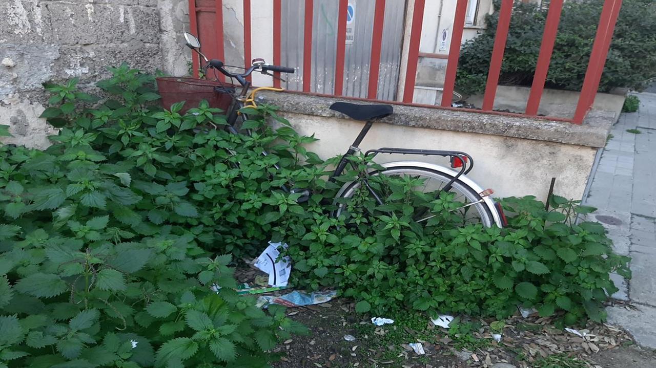 Bicicletta occultata dal verde