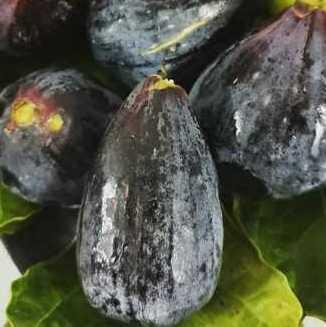 I fichi neri e i pomodori di Pula hanno il marchio identitario
