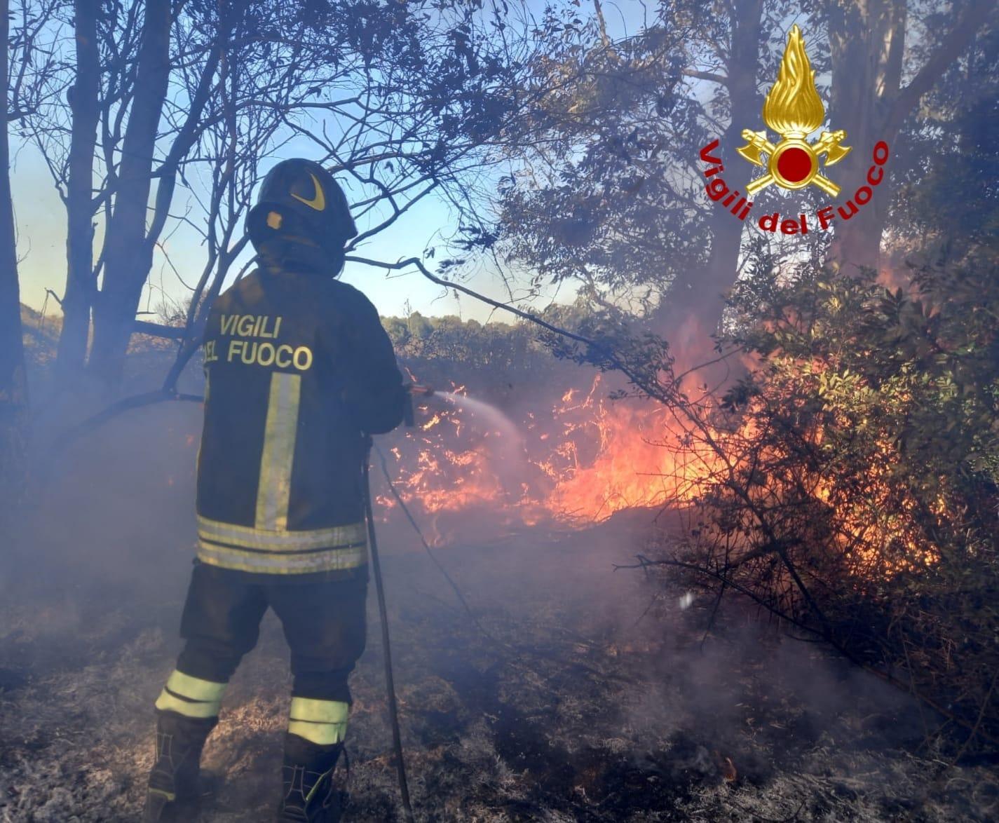 Alghero, incendio a San Marco: le fiamme lambiscono un'azienda agricola