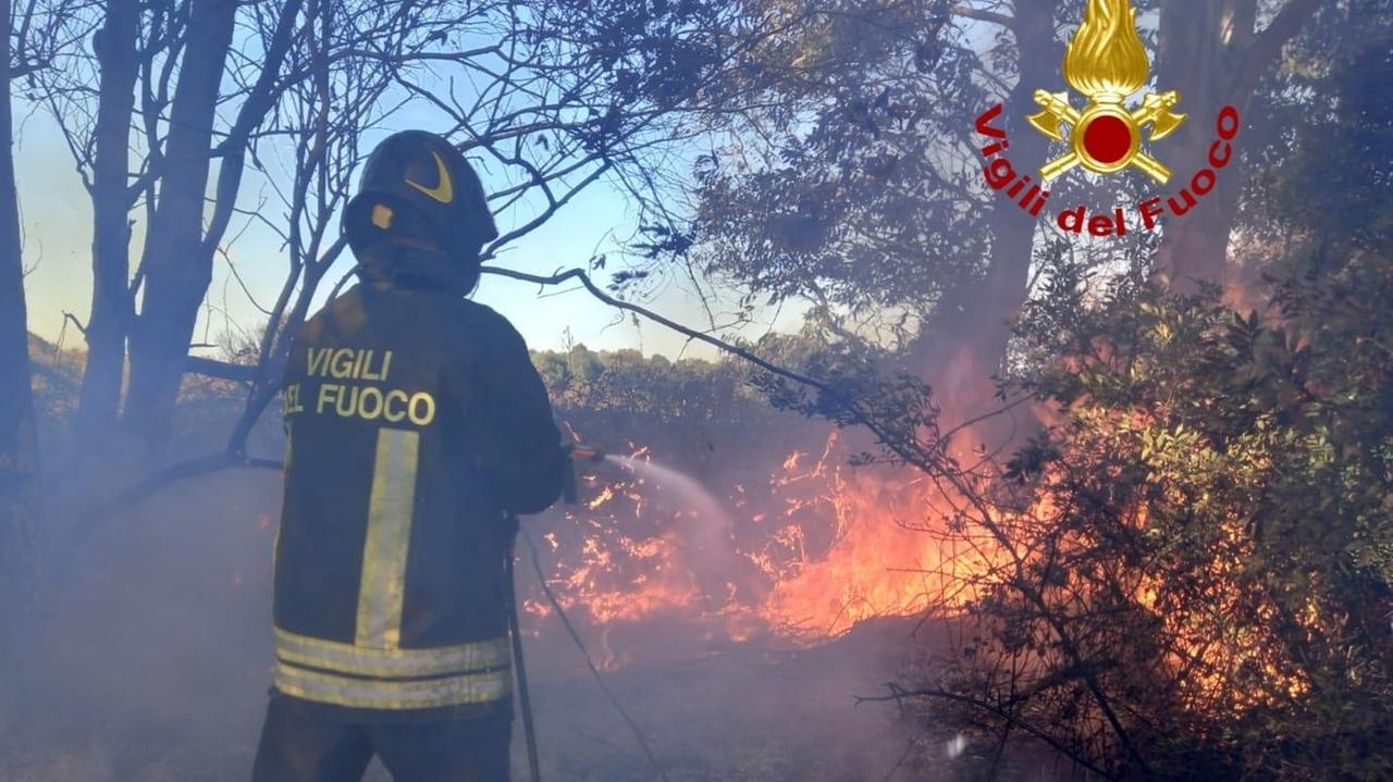 Alghero, incendio a San Marco: le fiamme lambiscono un'azienda agricola