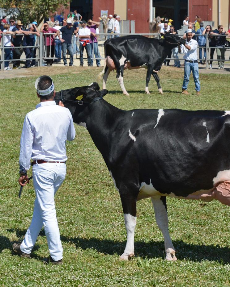 Arborea, tornano la fiera dell’agricoltura e la Mostra zootecnica