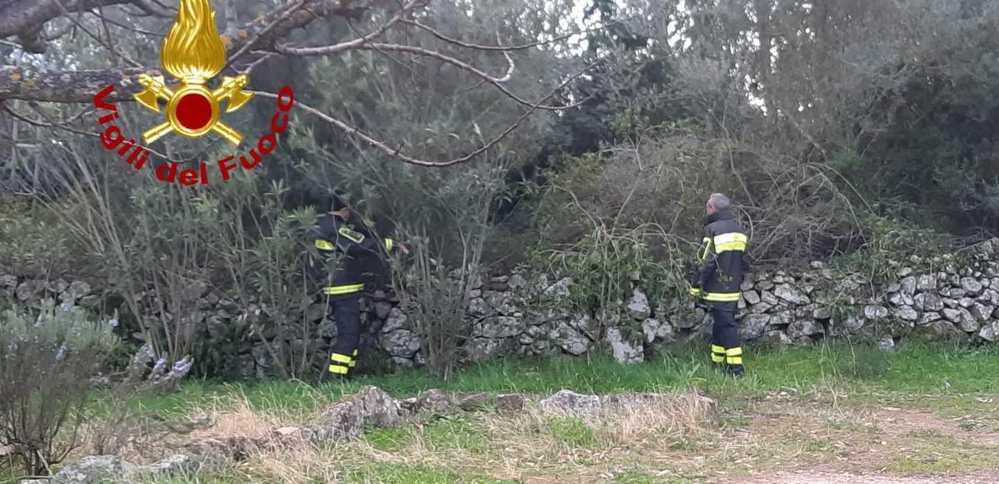 Ragazzo sparisce, trovato dai vigili
