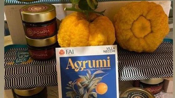 «Il Comune dimentica la pompia»