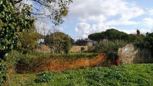 L’area dove saranno realizzati gli orti