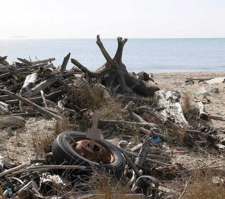 Anche la ruota di un’auto sulla spiaggia in località Le Marinette  (Foto Renzullo/Muzzi)