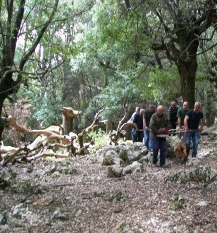 Sblocco del turn over a Forestas assunzioni anche per i trimestrali