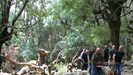 Sblocco del turn over a Forestas assunzioni anche per i trimestrali