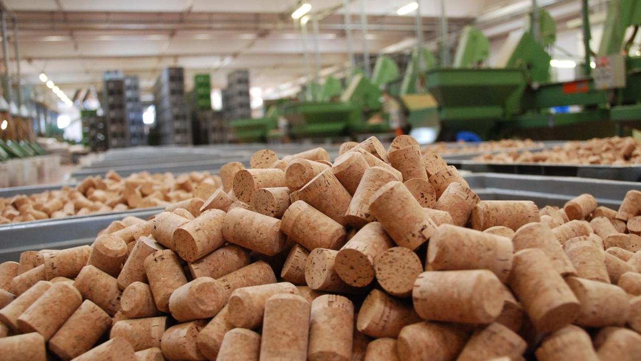 Sughero, consorzio contro la bollitura
