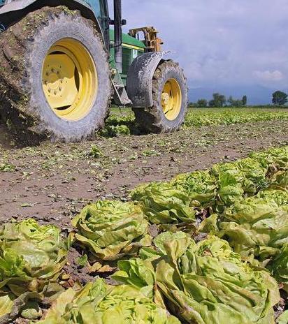 Distretto delle ruralità c’è il sigillo della Regione 