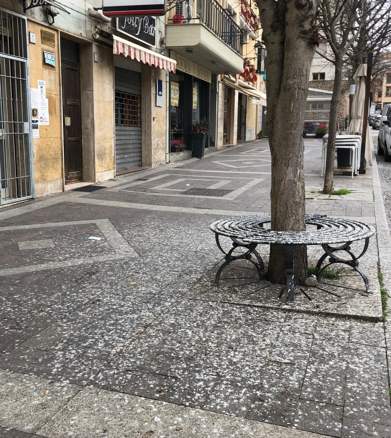 La città invasa dagli storni «Chiamate i falconieri» 