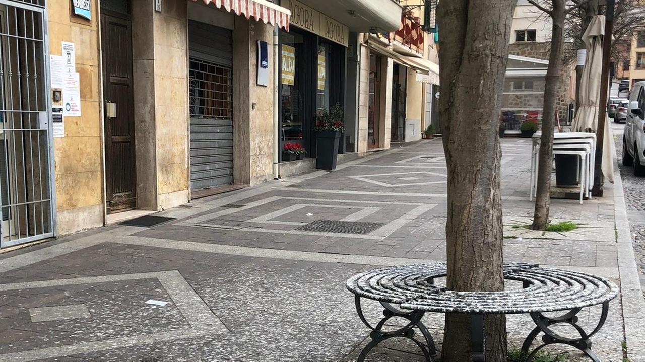 La città invasa dagli storni «Chiamate i falconieri»