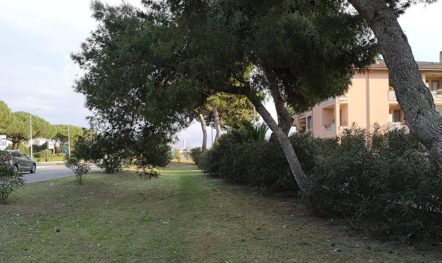 Al quartiere Oleandro pulizia del verde ma le vie sono sporche 