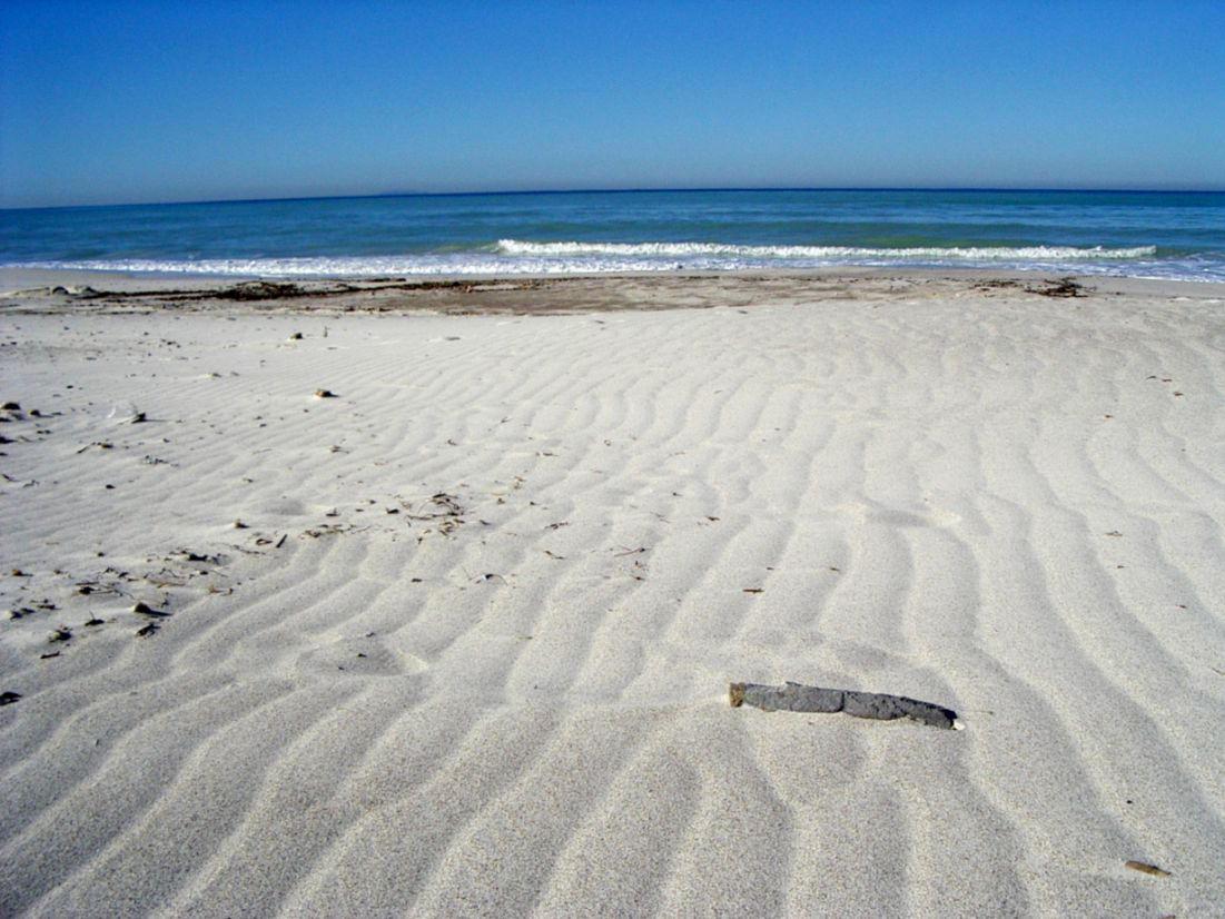 La spiaggia bianca di Vada