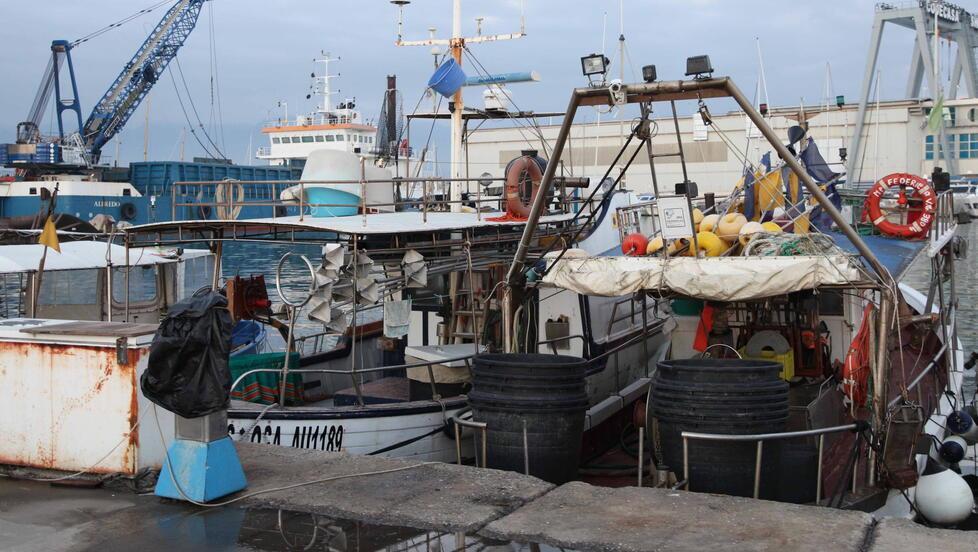 «Gasolio troppo costoso», a Viareggio si fermano 150 pescherecci per tre giorni 