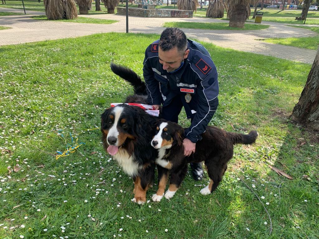 Un agente municipale con i due cani trovati al Parco