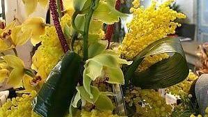 Cartolina e annullo speciale per la Giornata della donna