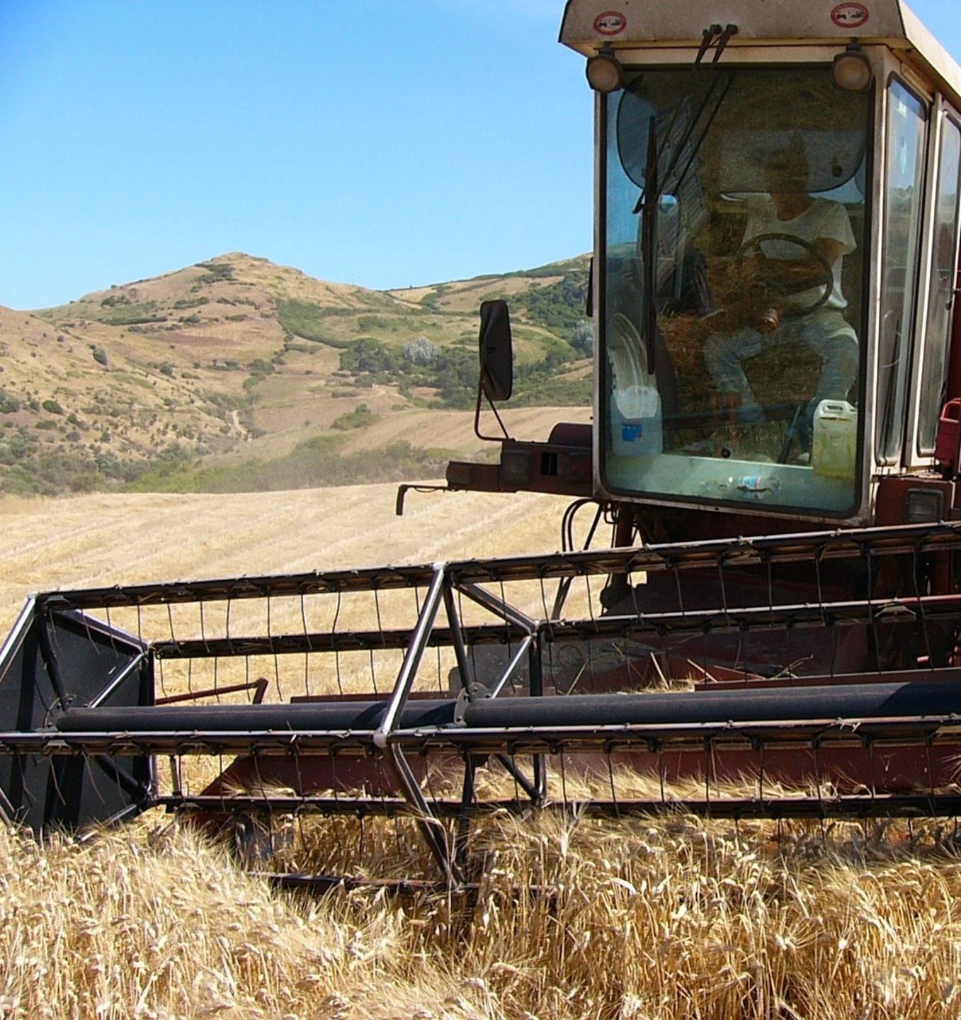 L’import della Sardegna vale cinque miliardi l’anno 