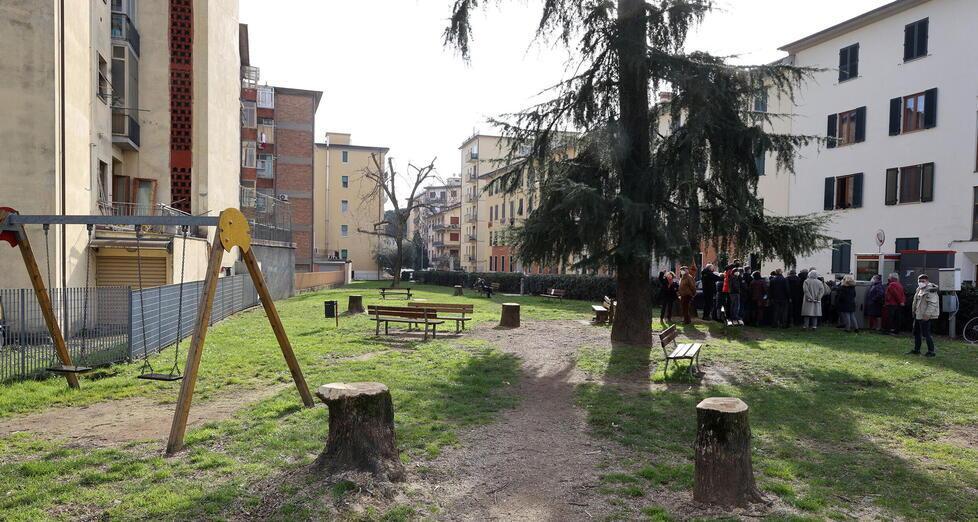 Appello in via Paganini, il quartiere si mobilita per comprare gli alberi del nuovo parco 