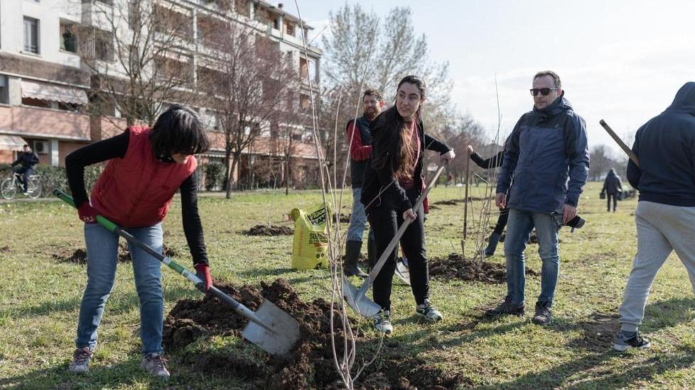 I promessi sposi donano 50 alberi per la loro festa di nozze