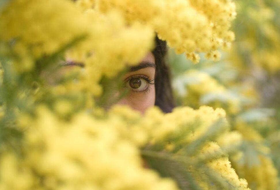 40 donne in un anno hanno chiesto aiuto al Centro antiviolenza 