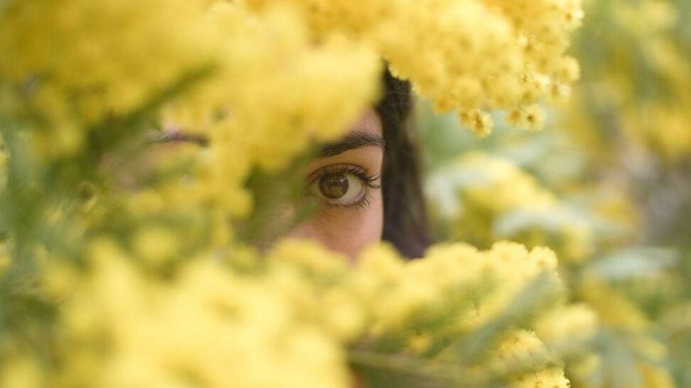 40 donne in un anno hanno chiesto aiuto al Centro antiviolenza