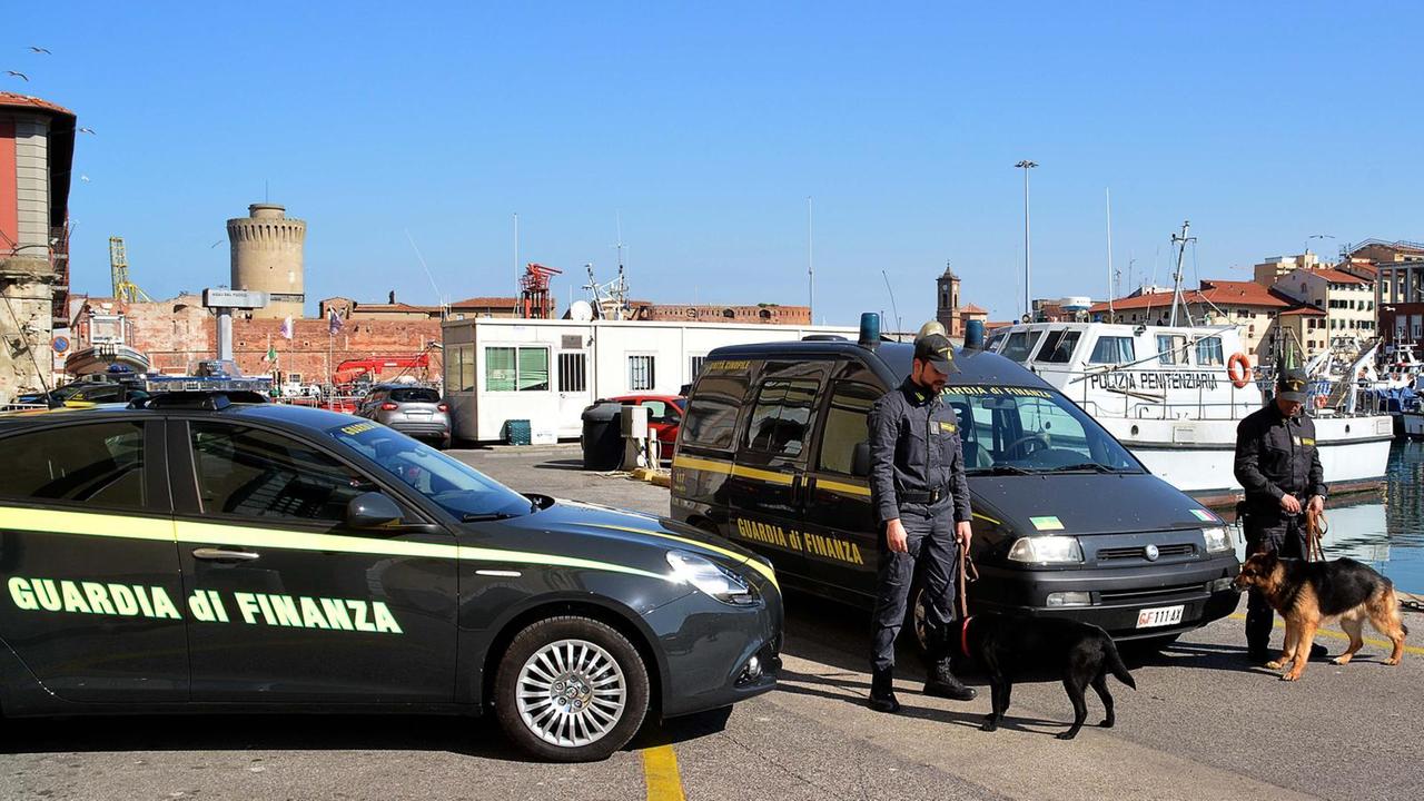 I cani antidroga della finanza