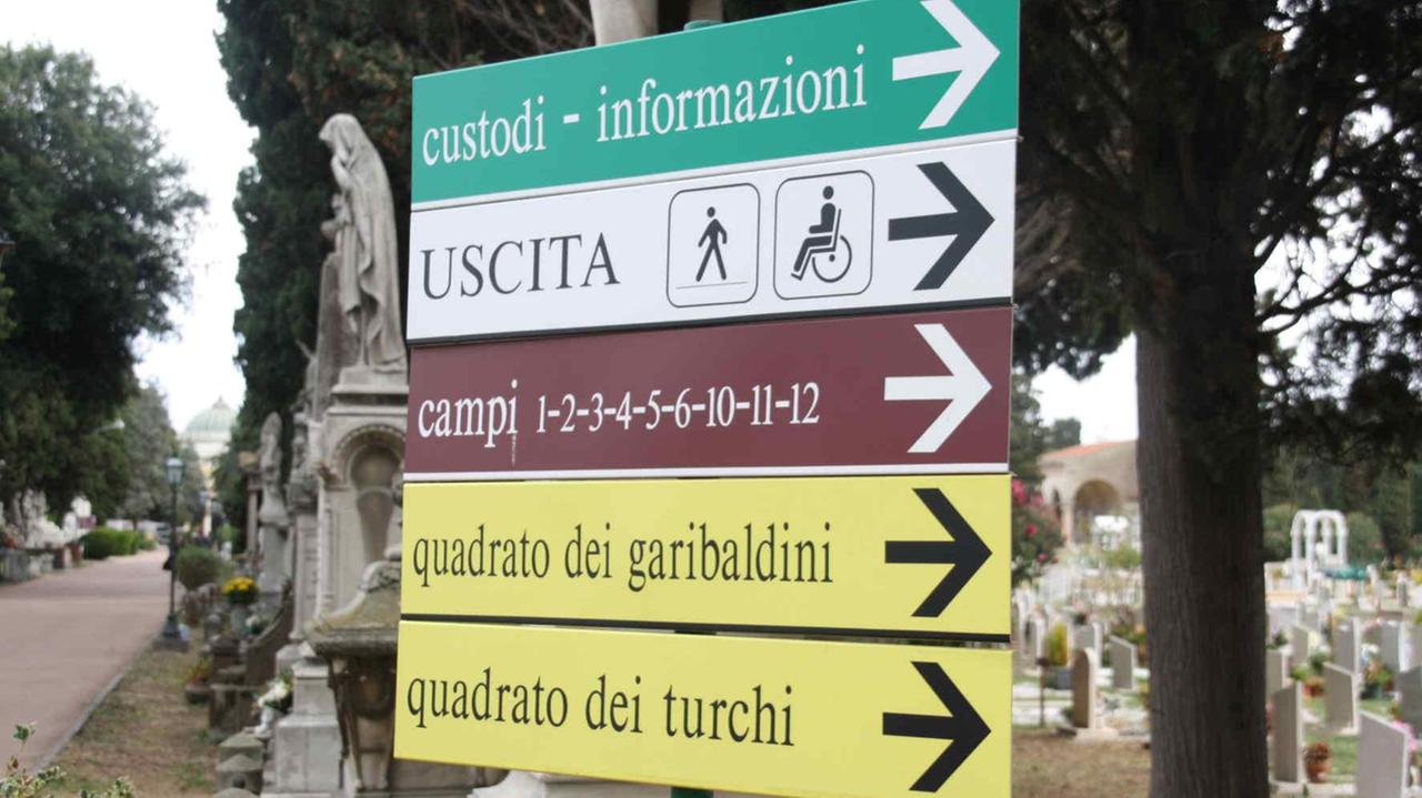 Il cimitero dei Lupi