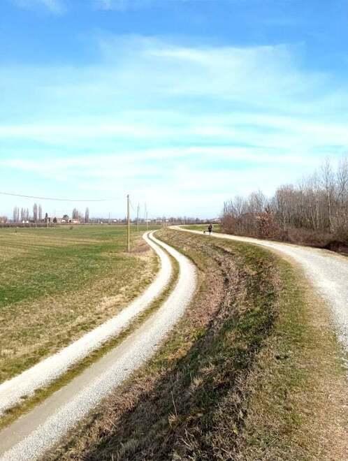 Verde, l’assessore: «Modena, in arrivo 700 ettari di boschi nell’area urbana» 