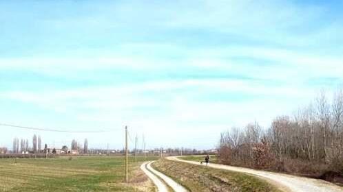 Verde, l’assessore: «Modena, in arrivo 700 ettari di boschi nell’area urbana»