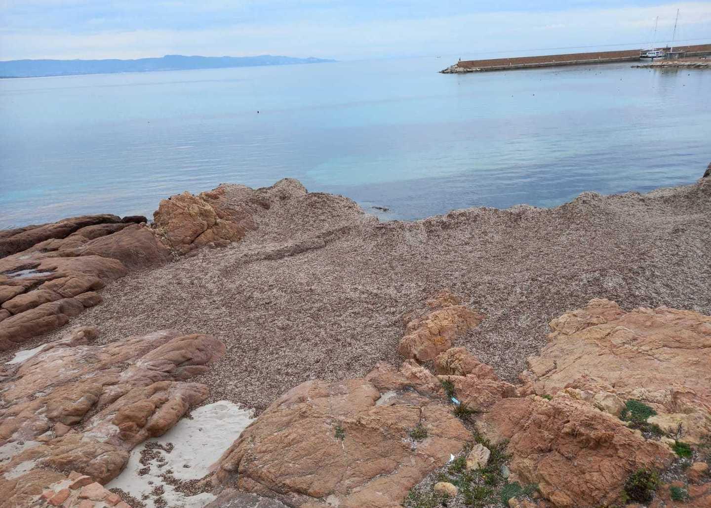 «Funtana Eccia a rischio erosione» 