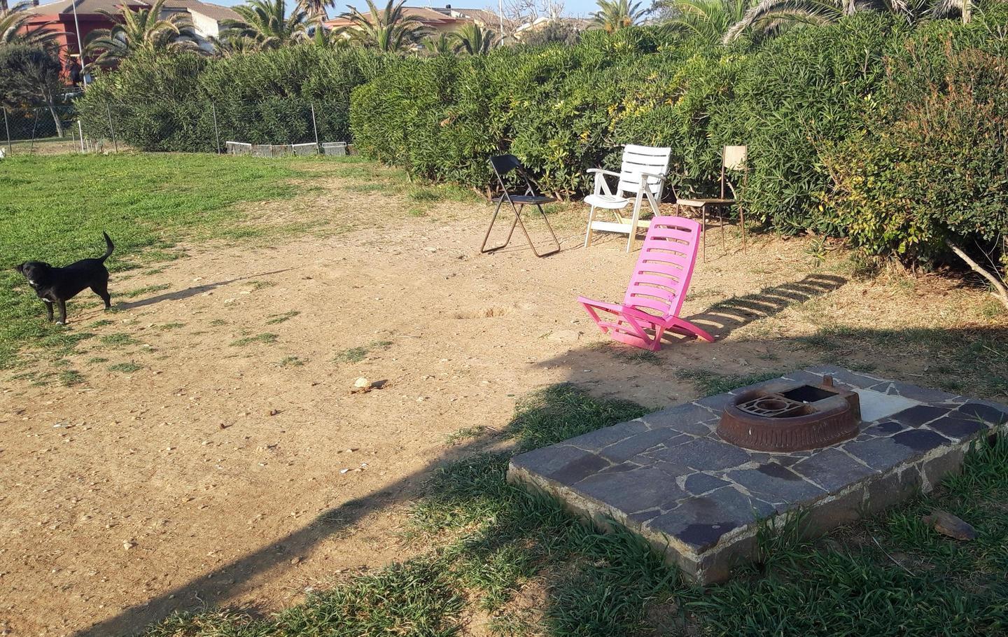 «Parco Quattro Zampe in stato di abbandono» 