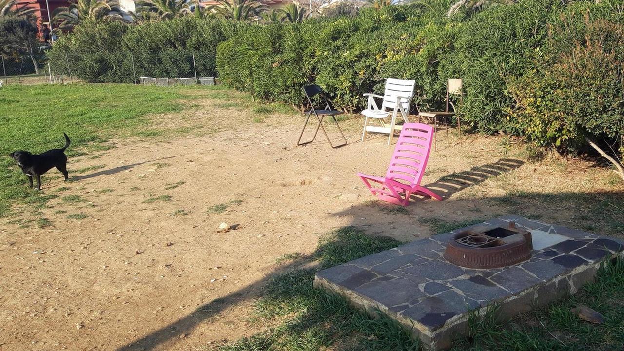 «Parco Quattro Zampe in stato di abbandono»