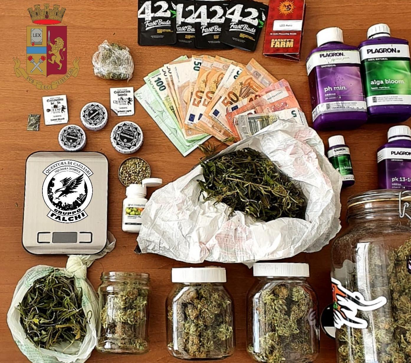Coltivava la marijuana in una stanza della casa di campagna: arrestato