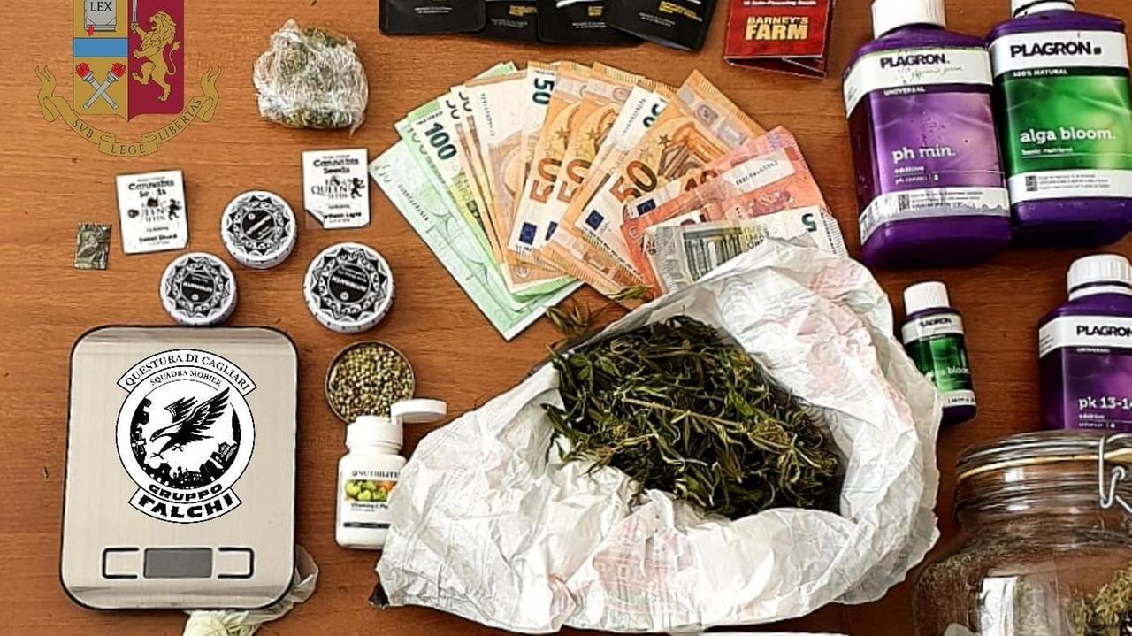 Coltivava la marijuana in una stanza della casa di campagna: arrestato