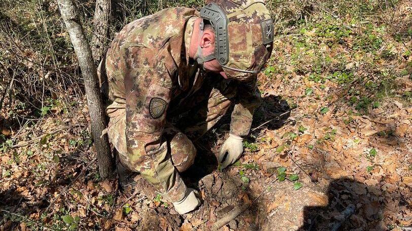 Va a passeggio con il metal detector e trova una bomba