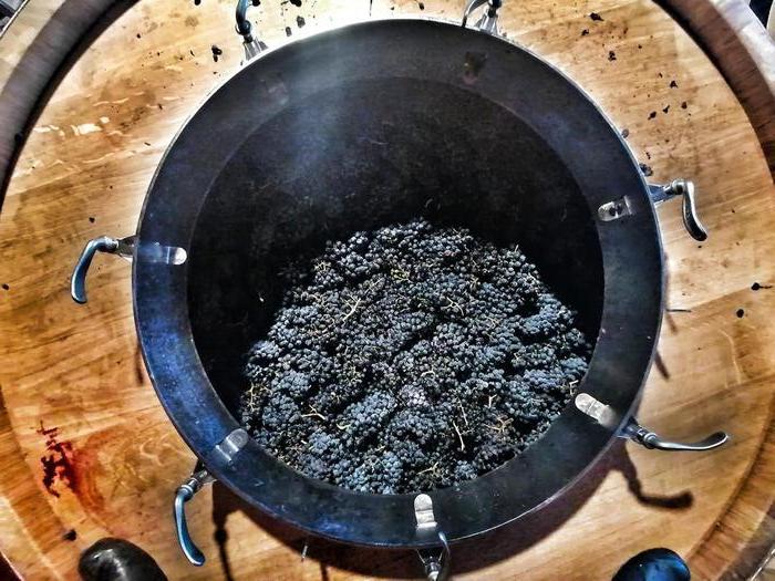 Alla cantina Sùentu di Sanluri, le tre nuove stelle Michelin della Sardegna