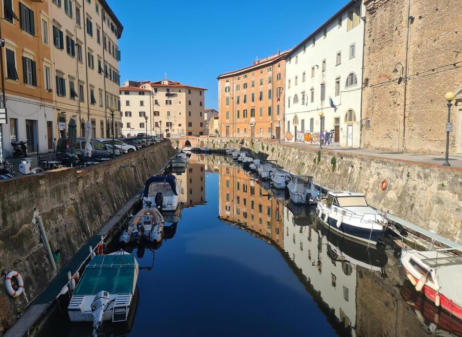Fossi neri in Venezia, Arpat risolve il mistero: «La causa è un’alga» 