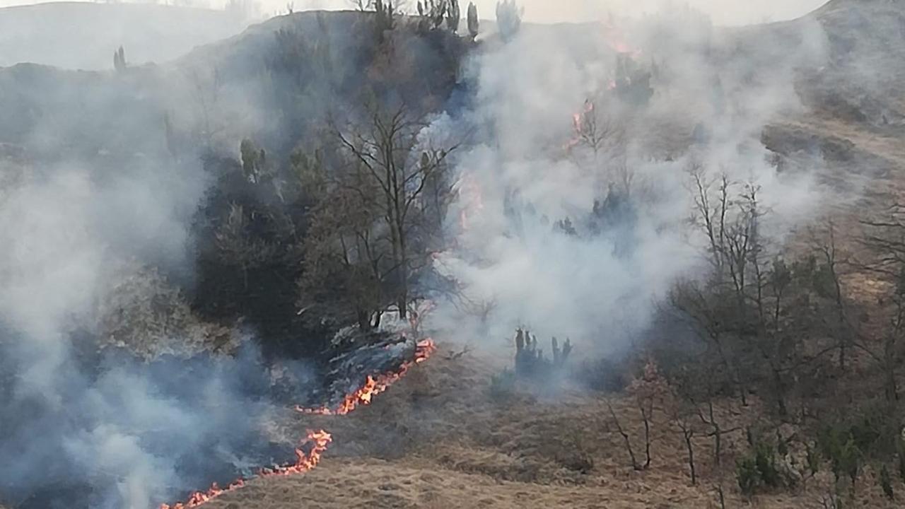 Prignano, scoppia l’inferno tra i calanchi: 10 ettari di boscaglia distrutti