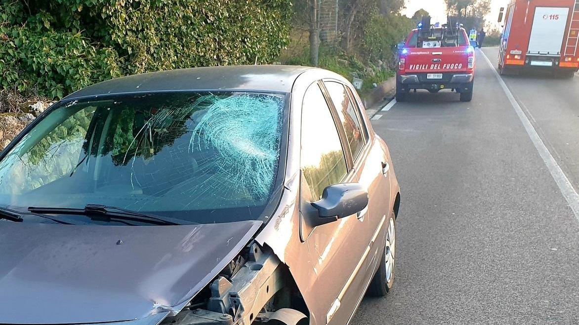 La conducente è risultata negativa ad alcol e droga