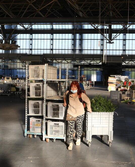 Un’operatrice al lavoro all’interno del mercato dei fiori di Pescia