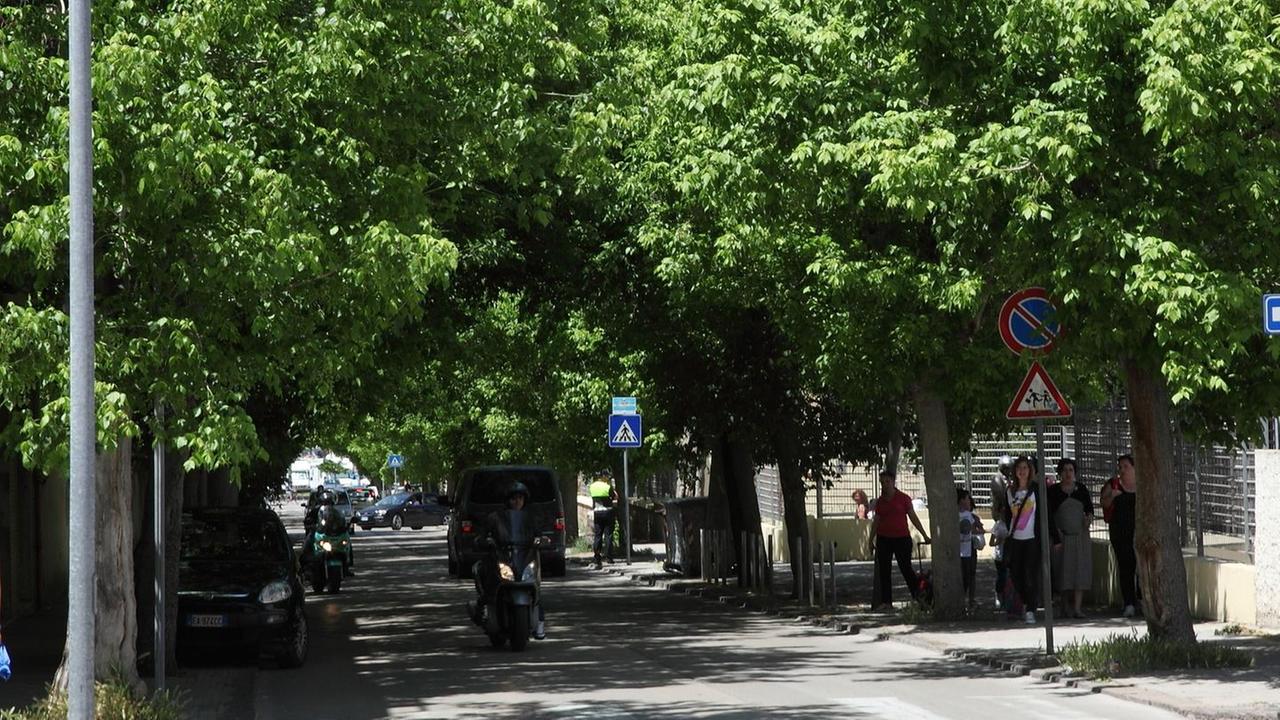 «Anche il Dadu in campo per Sant’Agostino»