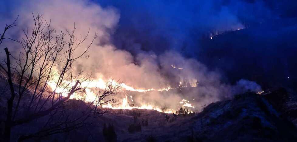 Prignano. Notte di lotta col fuoco poi l’emergenza finisce Ora si indaga sulle cause 