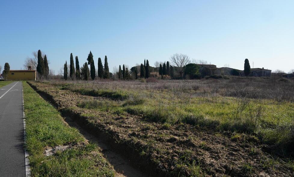Una parte dei terreni lungo la pista ciclabile al Chiesino che corre a fianco della Tosco Romagnola tra Pontedera e Fornacette (foto franco silvi)