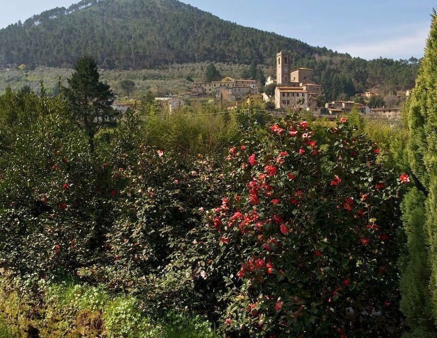Taglio del nastro alla Mostra delle camelie Il ritorno dopo un’attesa durata due anni 
