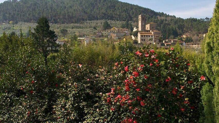 Taglio del nastro alla Mostra delle camelie Il ritorno dopo un’attesa durata due anni